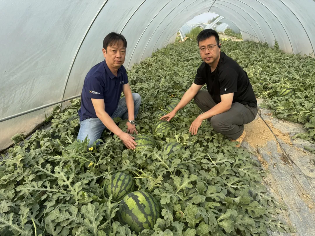 97国际-至尊品牌,源于诺言
