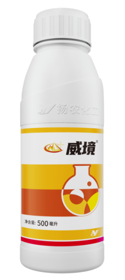 97国际-至尊品牌,源于诺言